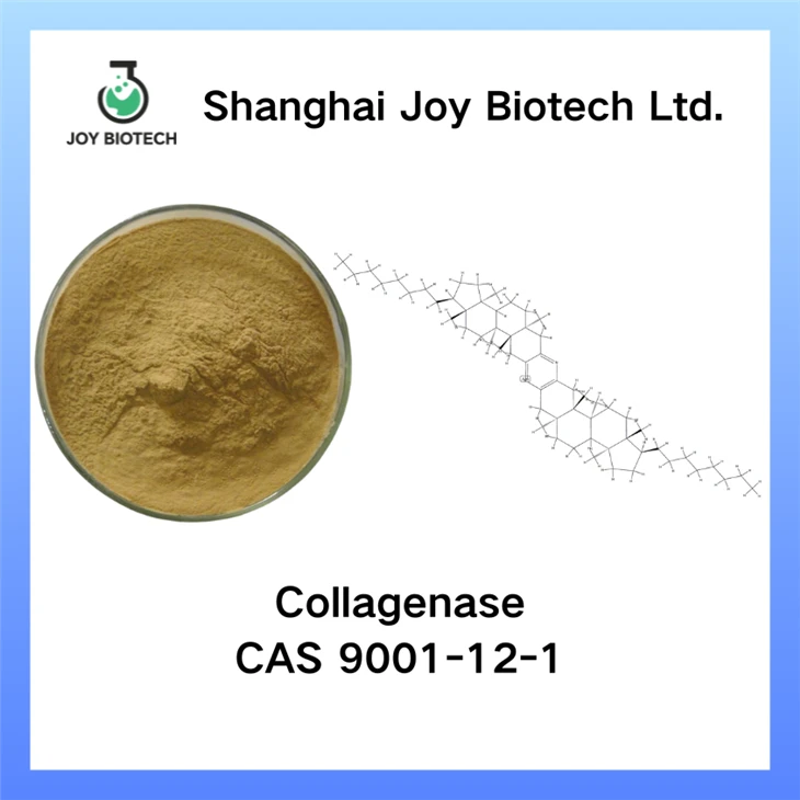 Collagenase A CAS NO 9001-12-1 Collagenase A CAS NO 9001-12-1