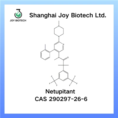 Chemicals for NetUpitant Intermediate Documentation